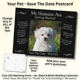 Your Pet Photo Save The Date Black White Infinity Vykort