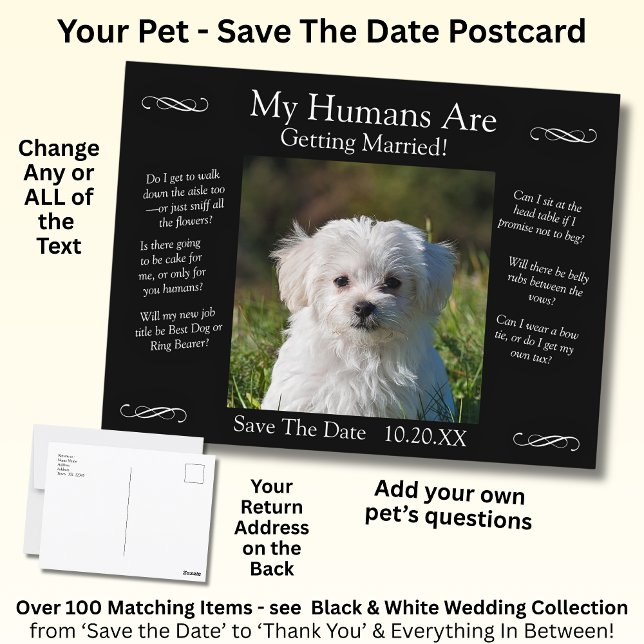 Your Pet Photo Save The Date Black White Infinity Vykort (Skapare uppladdad)