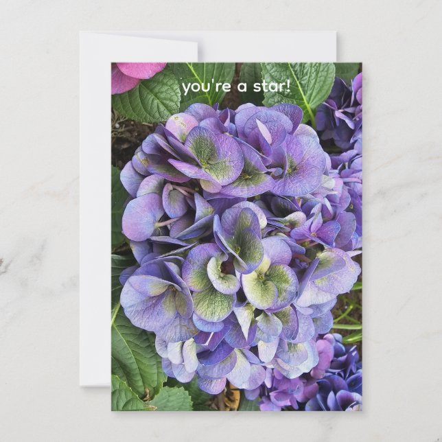 You're a star! inbjudningar (Framsida)