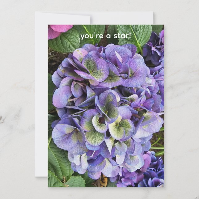 You're a star! julkort (Framsida)