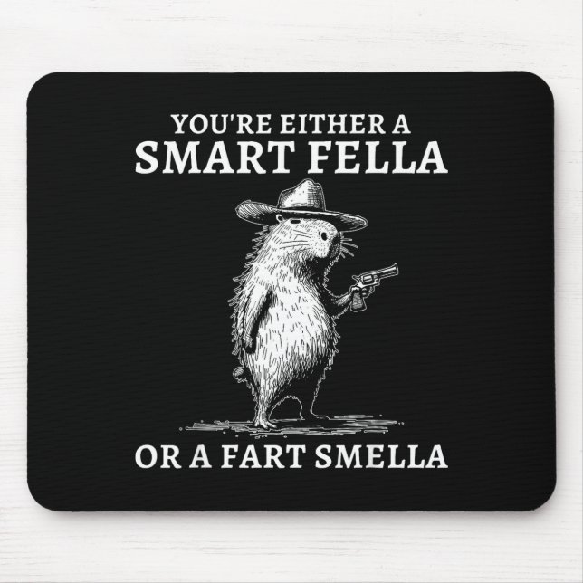 You're Either A Smart Fella Or A Fart Smella Funny Musmatta (Framsidan)