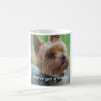 You've got a friend - Yorkshire-Terrier - Mug Kaffemugg