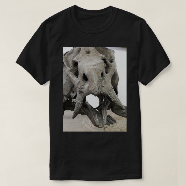 Youx27re gammal t shirt (Design framsida)