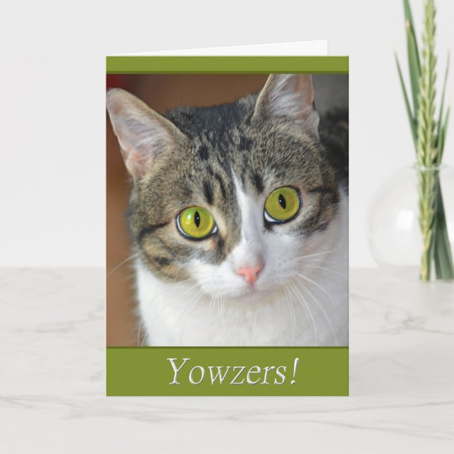 Yowzers Kort (Framsida)