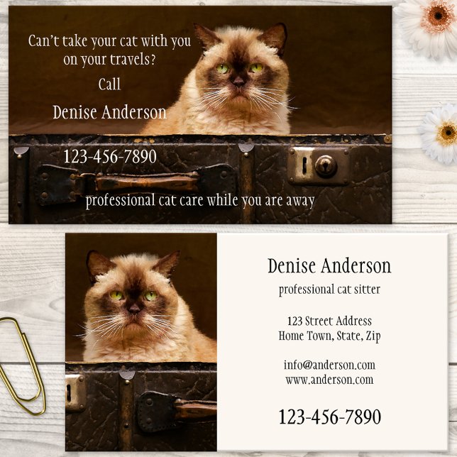 Yrkesmässig kattbarnvaktvisitkort visitkort (Business card featuring a cute grumpy cat in a travel case. Great for a cat sitter)