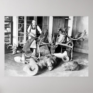 Yrkesmässig Taxidermist: 1923 Poster