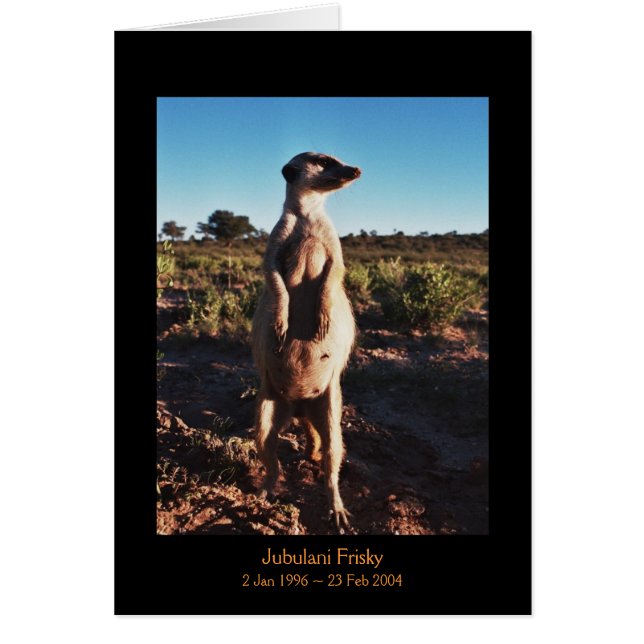 Ystra Jubulani - legendkort Hälsningskort (Framsidan)