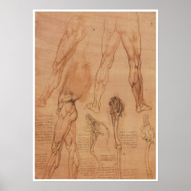 Yta Anatomi i nedre extremen, Da Vinci Poster (Framsidan)
