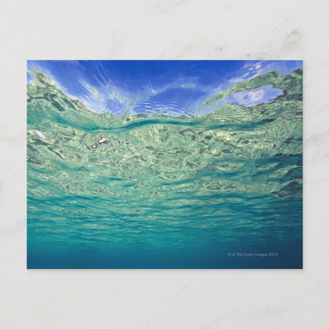 Yta i det aktuella havet vykort (Framsida)