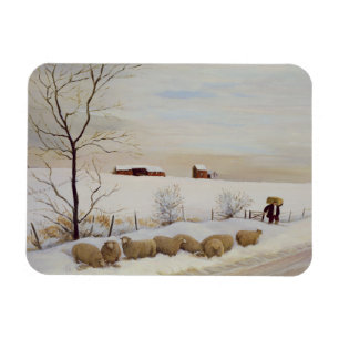 Ytterligare hård vinter magnet