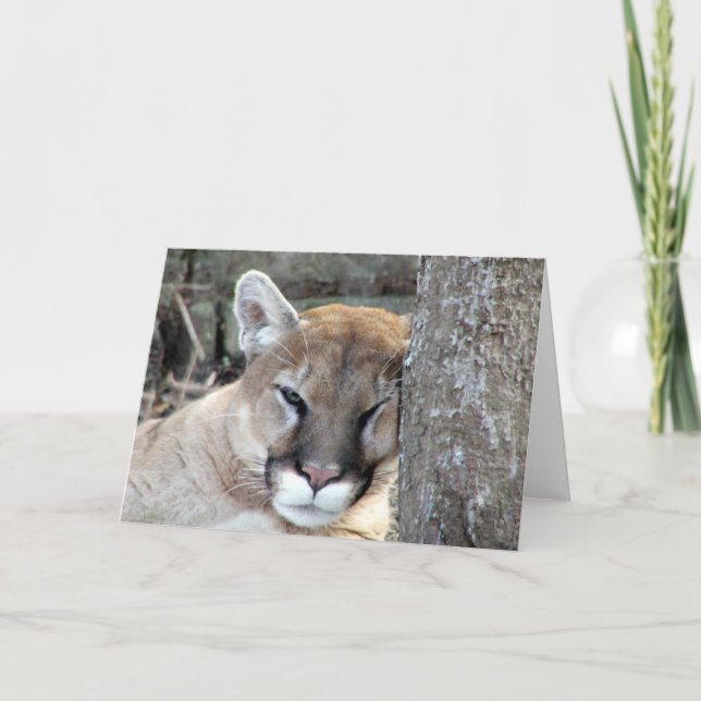 Ytterligare måndagskvot kort (Framsida)