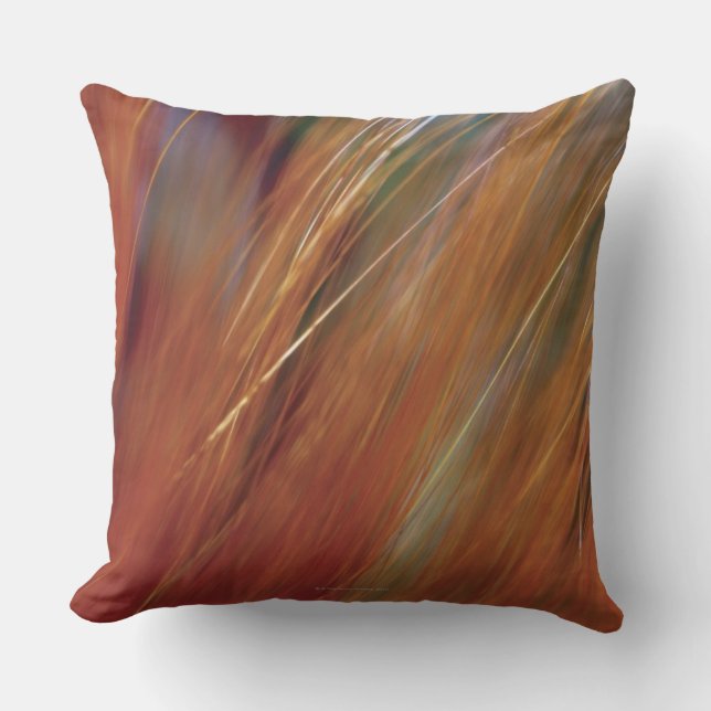 Ytterlighetnärbild av vete som växer i fält kudde (Framsida)