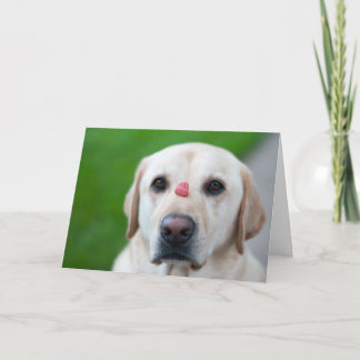 yttersta tålamod helgkort