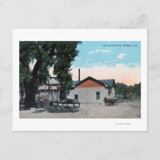 Yttre vy över Jacinto CreameryWillows, CA Vykort (Framsida)