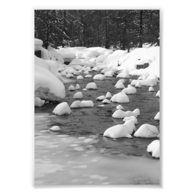 Yuba River Foto (Framsidan)
