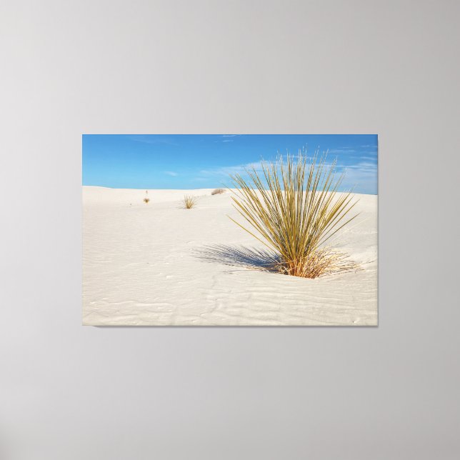 Yucca at White Sands Canvastryck (Framsida)