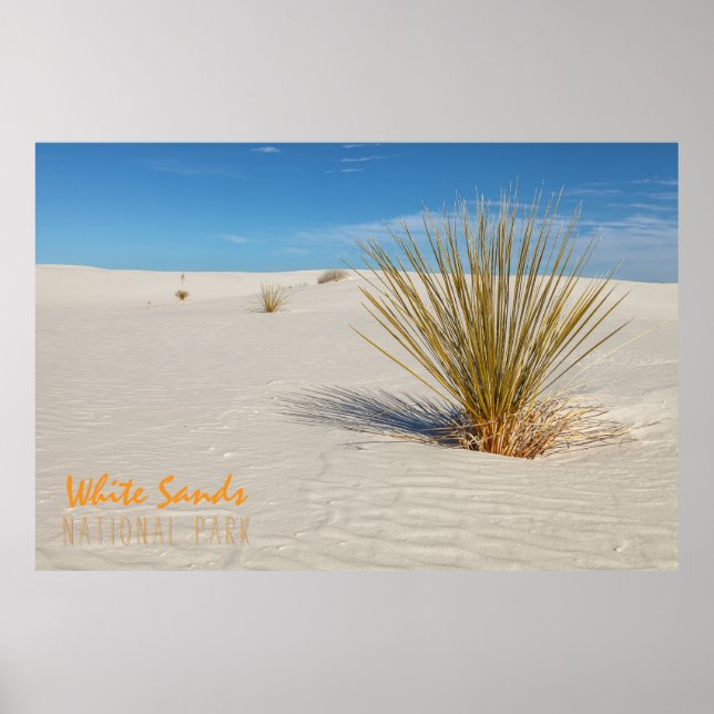 Yucca at White Sands Poster (Framsidan)