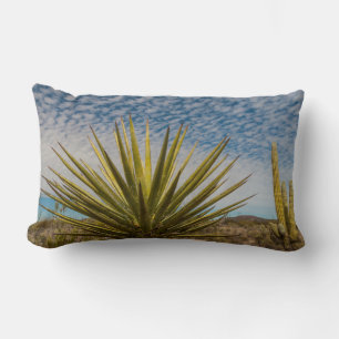 Yucca i öknen, Mexiko Lumbarkudde