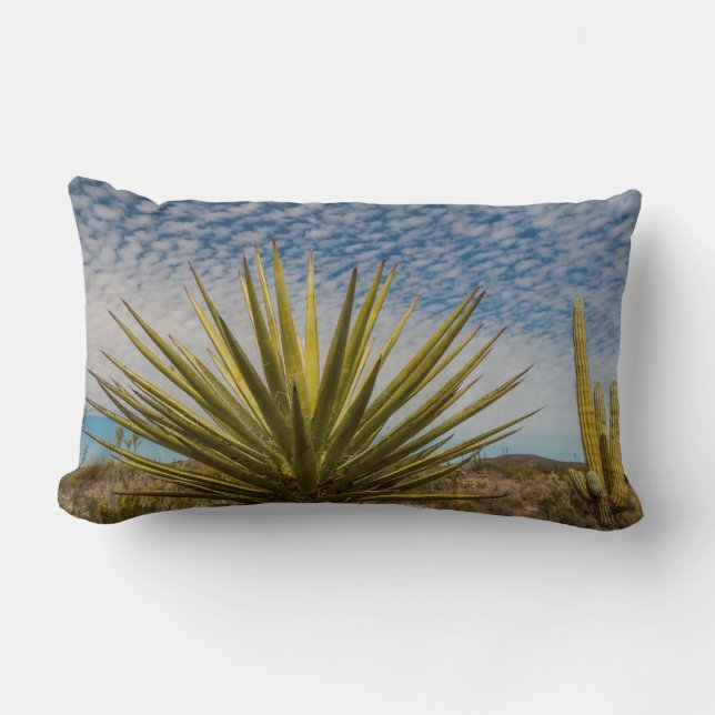 Yucca i öknen, Mexiko Lumbarkudde (Framsida)