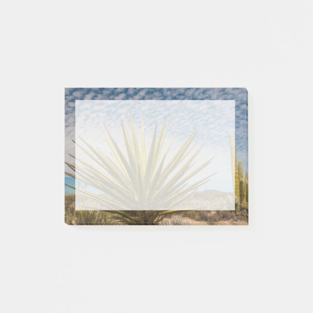 Yucca i öknen, Mexiko Post-it Block (Framsida)