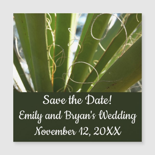 Yucca Lövs Grönt Natur Fotography (Framsida)