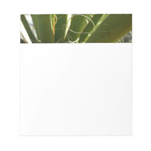 Yucca Lövs Grönt Natur Fotography Anteckningsblock