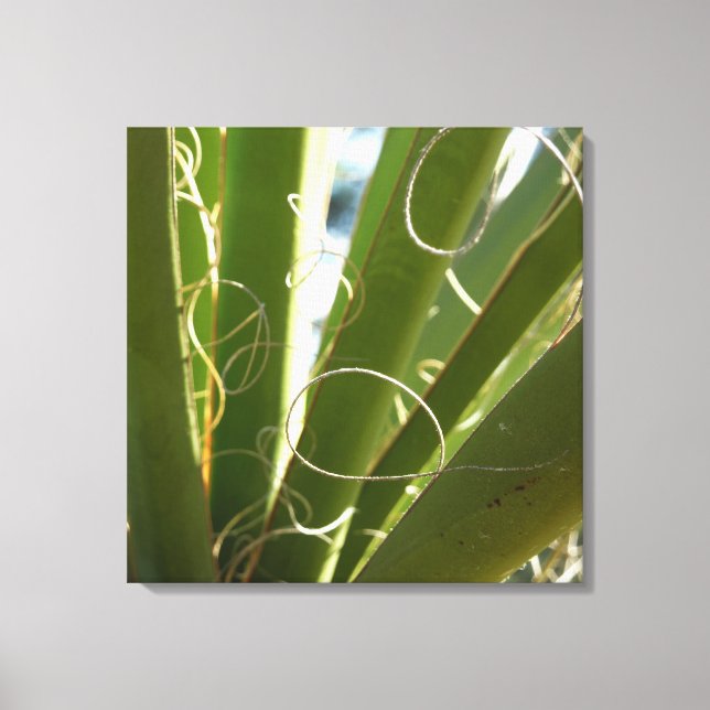 Yucca Lövs Grönt Natur Fotography Canvastryck (Framsida)