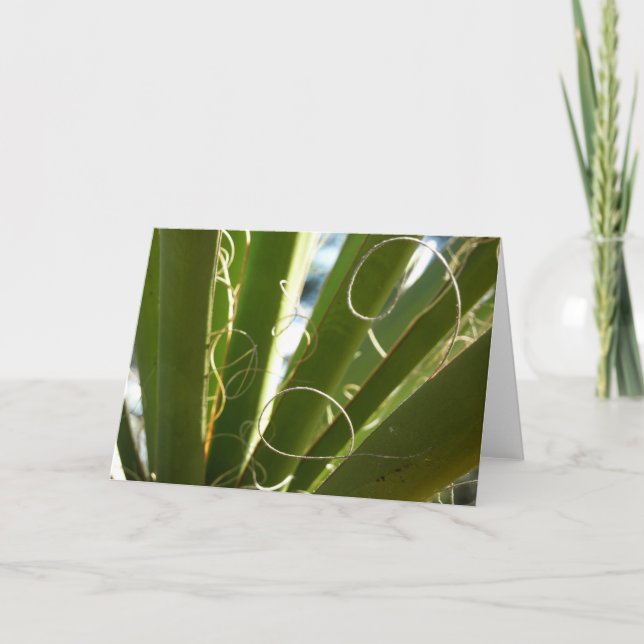 Yucca Lövs Grönt Natur Fotography Kort (Framsida)