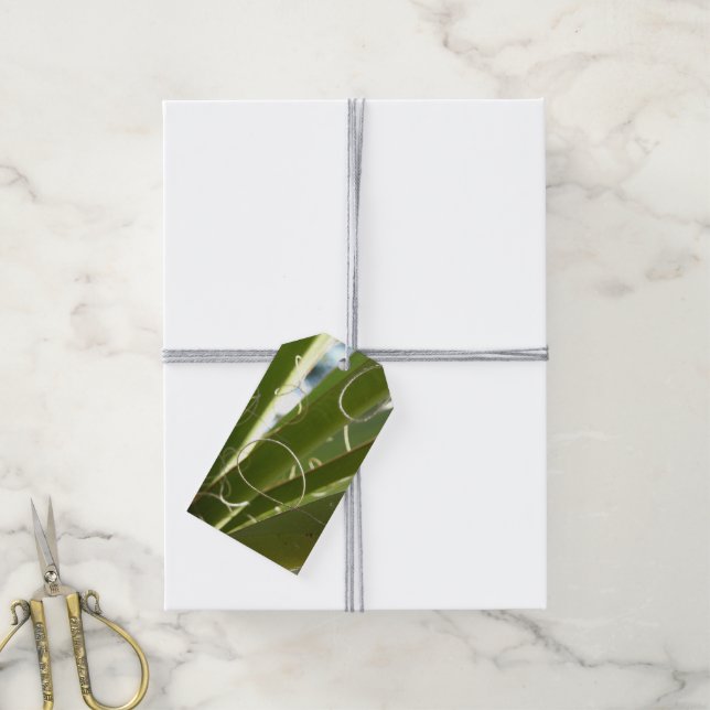 Yucca Lövs Grönt Natur Fotography Presentetikett (Med Snöre)