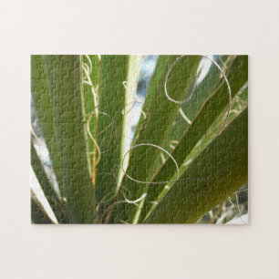 Yucca Lövs Grönt Natur Fotography Pussel