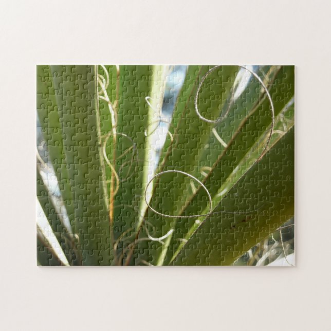 Yucca Lövs Grönt Natur Fotography Pussel (Horisontell)