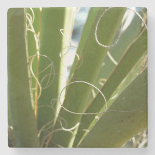 Yucca Lövs Grönt Natur Fotography Stenunderlägg