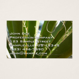 Yucca Lövs Grönt Natur Fotography Visitkort