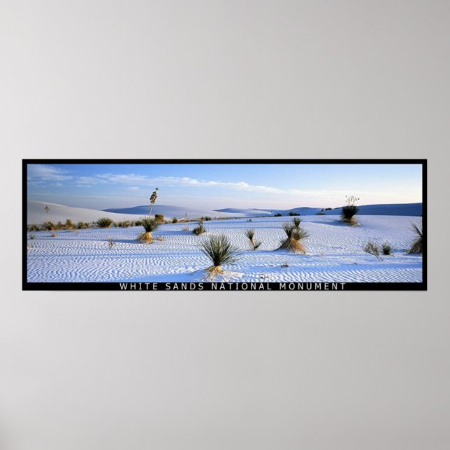 Yucca Panorama Poster (Framsidan)