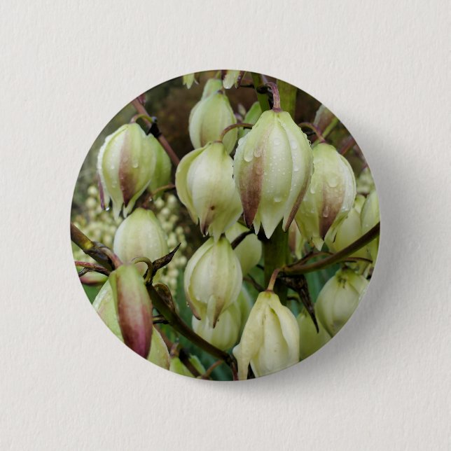Yucca Plant Badge Knapp (Framsida)