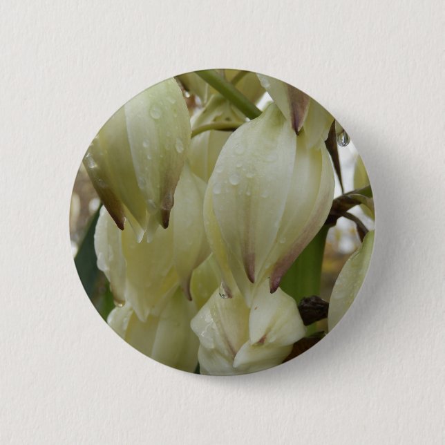 Yucca Plant Badge Knapp (Framsida)