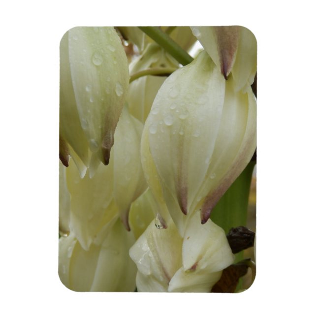 Yucca Plant Magnet (Vertikal)