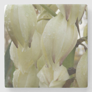 Yucca Plant Stenunderlägg