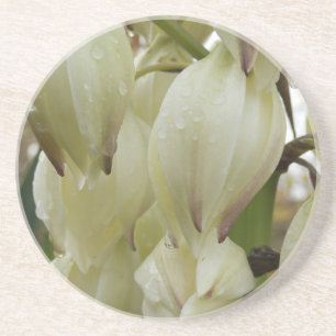 Yucca Plant Underlägg
