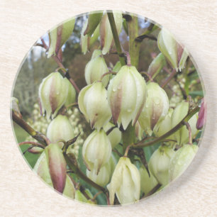 Yucca Plant Underlägg