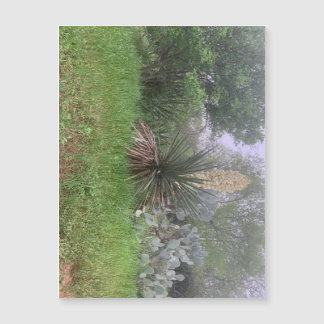 Yucca Scene Magnet (liggande)