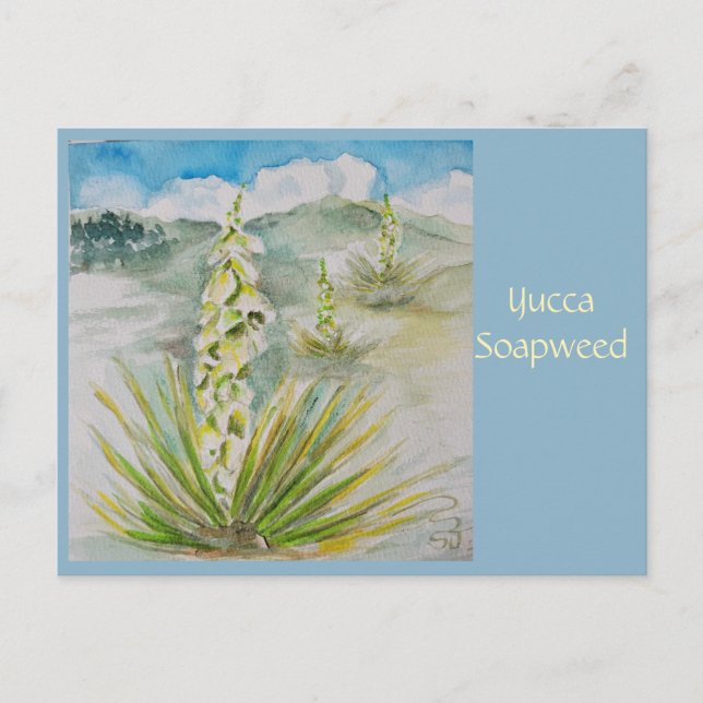 Yucca Soapweed vykort (Framsida)