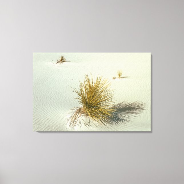 Yucca vid White Sands Canvastryck (Framsida)