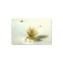 Yucca vid White Sands