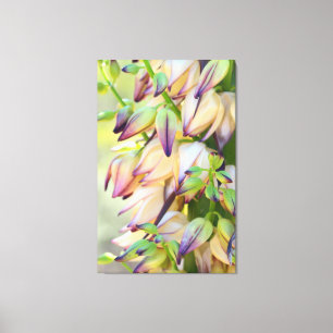 Yuccablommor, omslagen canvas