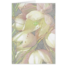 Yuccaen blommar i färgpenna hälsningskort