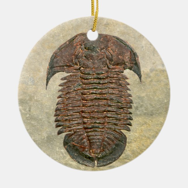 Yuepingia Fossil Trilobite Julgransprydnad Keramik (Framsidan)