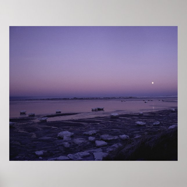 Yukon Delta National Wildlife Refuge Poster (Framsidan)