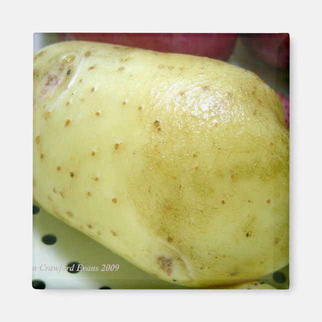 Yukon guldpotatis magnet (Framsidan)