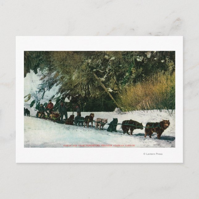 Yukon Hund Team Freighting through Alaska Canyon Vykort (Framsida)